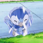 POCHA